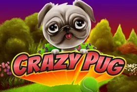 Crazy Pug
